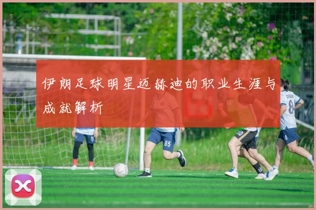 伊朗足球明星迈赫迪的职业生涯与成就解析