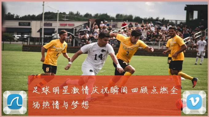 足球明星激情庆祝瞬间回顾点燃全场热情与梦想