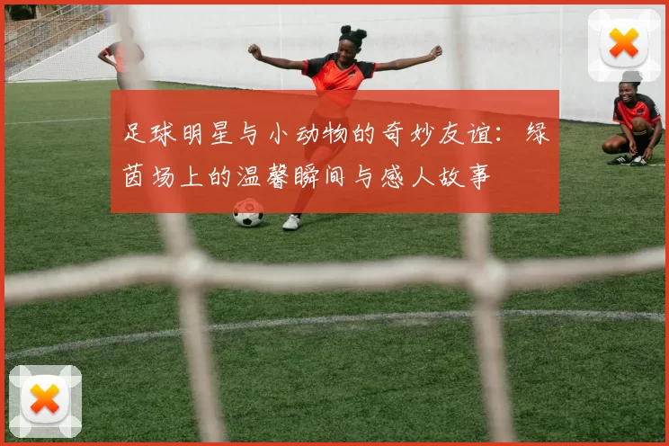 足球明星与小动物的奇妙友谊：绿茵场上的温馨瞬间与感人故事